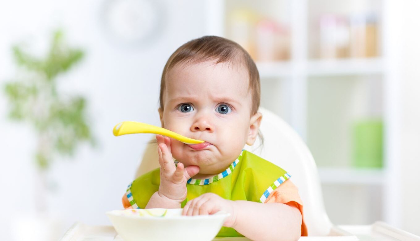 alimentos