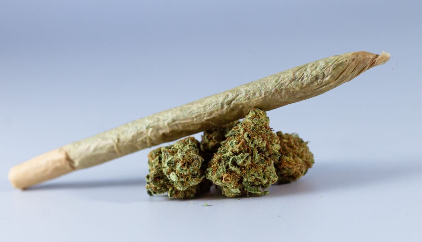cannabis