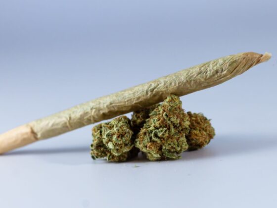 cannabis