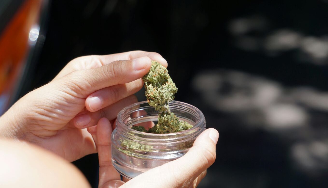 Cannabis