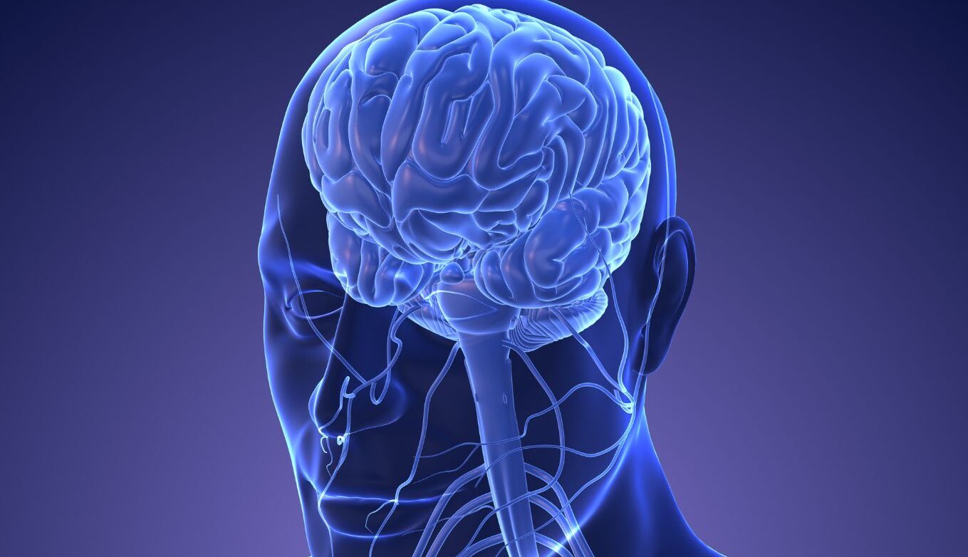 neuromodulacion